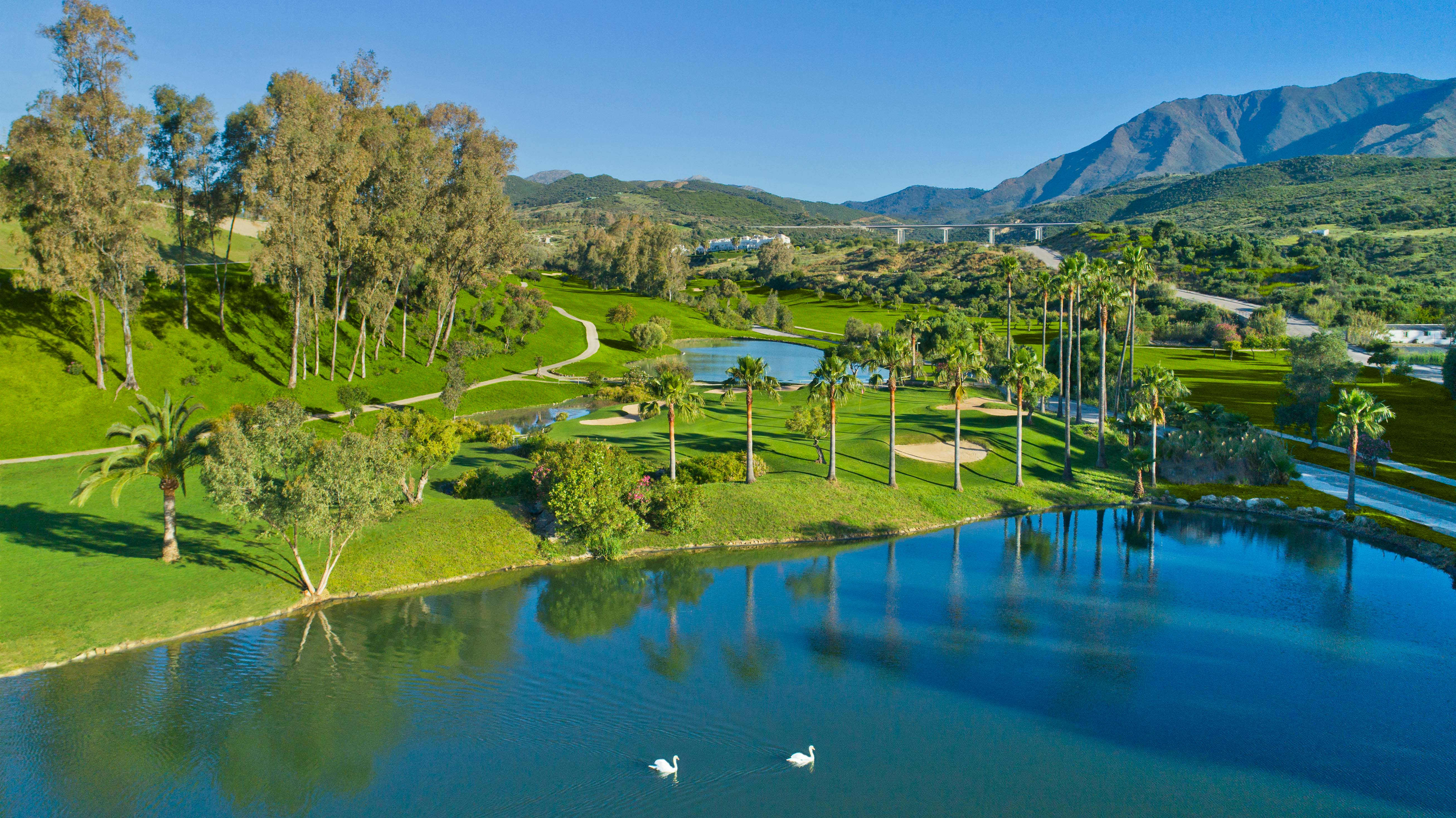 1406 Immobilien Estepona-32