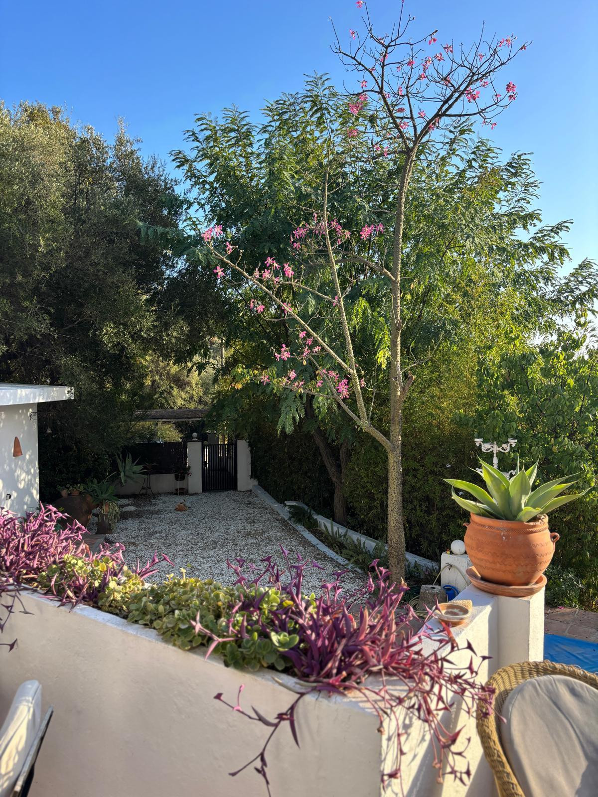 B98Le8~d7M9k3DegpEFZhS0lI_F8U4XZVz~HWxt~mGgYekxX9nCAxh0ZipZlAjNxEM6s1ur~IyRoHk21zVXx39XWT2D9Fp8yWb6eeHb9SawLx2ZS2An_0O81TPLinbIJBeCW5Vxcl_wjFL~kSwm9