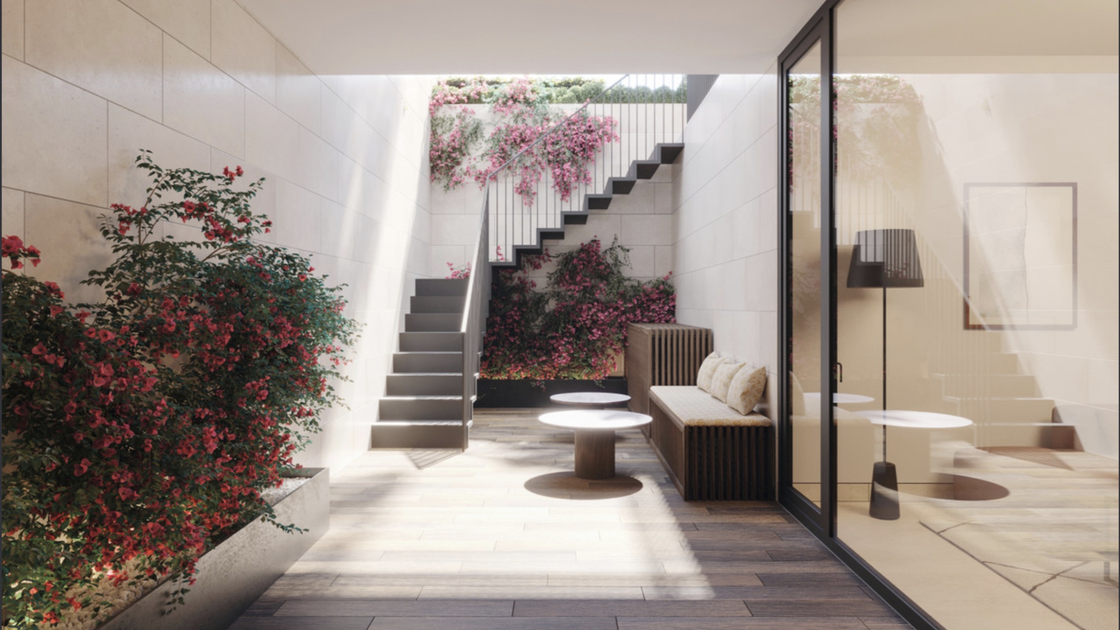 Bougainvillea_13