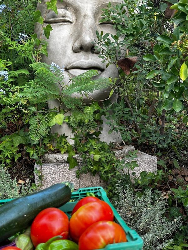 B98Le8~d7M9k3DegpEFZhS0lI_F8U4XZVz~HWxt~mGgYekxX9nCAxh0ZipZlAjNxEM6s1ur~IyRoHk21zVXx39XWT2D9Fp8~6yp38UDt16IaqJO_QhYksR5crwpje_lRkoRCf67~ggd4WYvKpnQJ