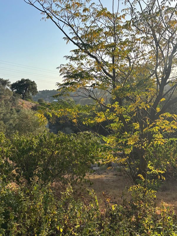 B98Le8~d7M9k3DegpEFZhS0lI_F8U4XZVz~HWxt~mGgYekxX9nCAxh0ZipZlAjNxEM6s1ur~IyRoHk21zVXx39XWT2D9Fp9oioLi2wmv0qnhQpQOnZqYYFp3zQR6zt7BNNk1i89UA6Wu88aJfE9A